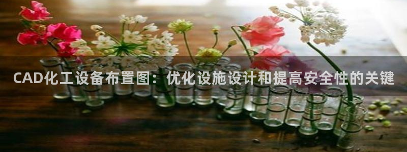 新航娱乐的创始人简介资料