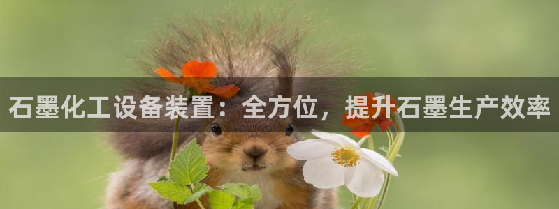新航娱乐公司扣费流程详解图片大全