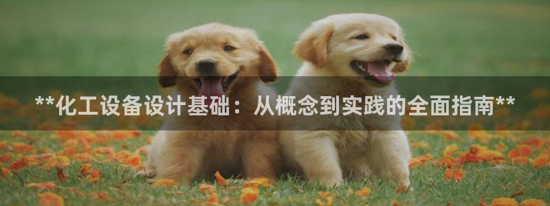 新航娱乐公司扣费流程详解表格