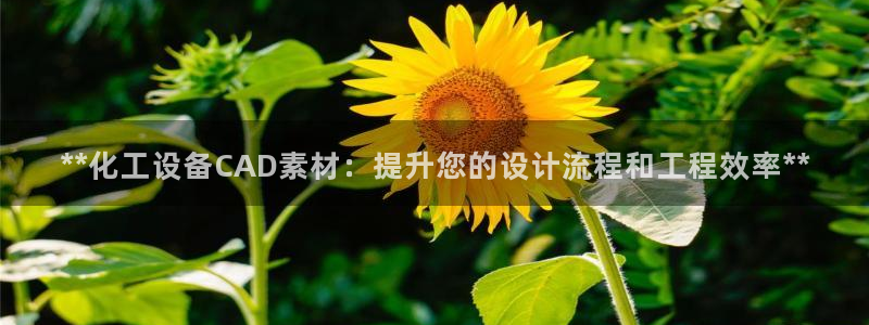 新航娱乐app最新版本更新内容在哪找