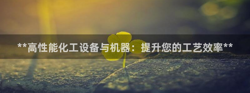 新航娱乐平台用户评价及反馈