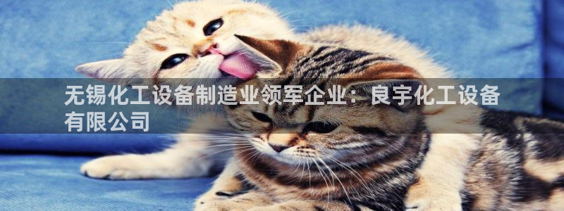 新航娱乐公司扣费流程详解图片大全
