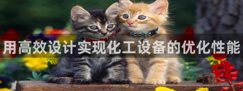 新航娱乐官网最新版本更新内容