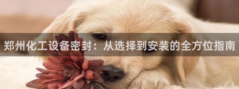 新航娱乐官网最新版本更新内容下载