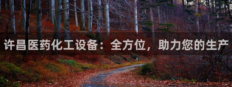 新航娱乐公司扣费流程详解图
