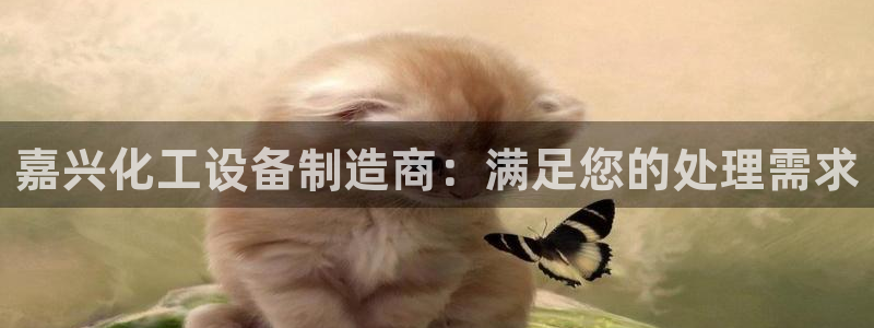 新航娱乐的创始人简介是谁