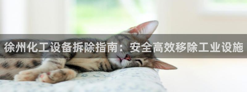 新航娱乐直开.中国最新版本更新内容