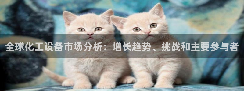 新航娱乐皮皮虾
