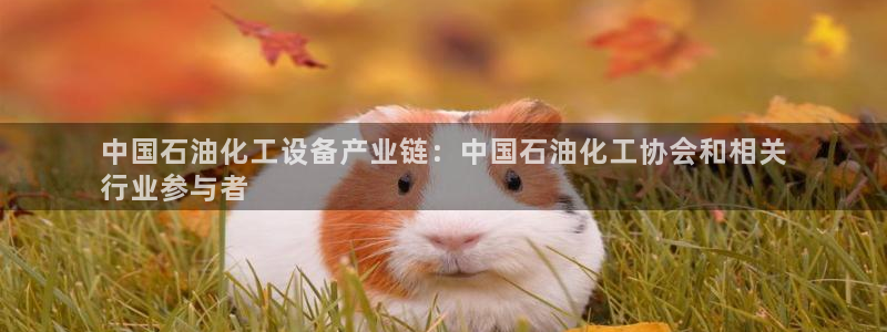 新航娱乐app的最新版本更新内容在哪里