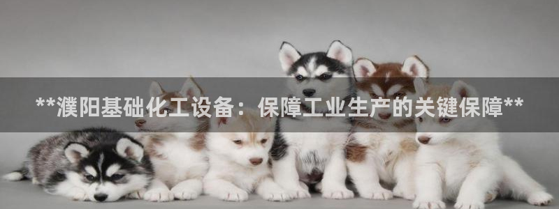 新航娱乐官网下载app
