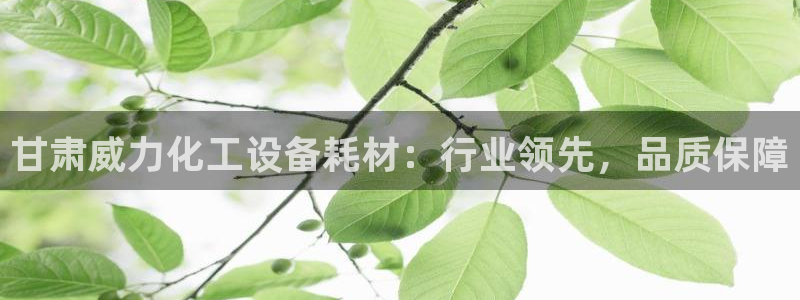 新航娱乐入.新航娱乐.几年了.长久.中国
