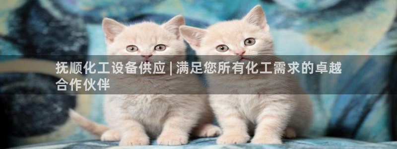 新航娱乐的创始人是谁
