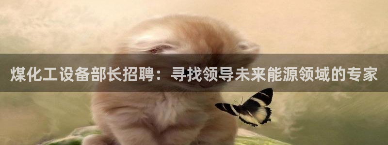 新航娱乐的会员权益与保障