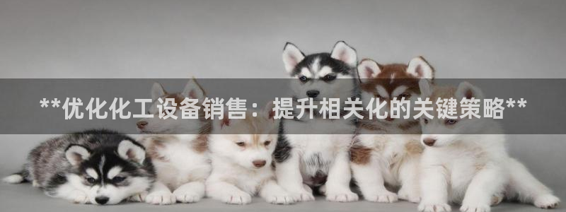 新航娱乐公司扣费流程详解图片大全