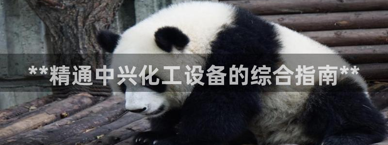 新航娱乐公司简介和历史背景