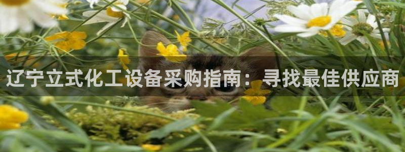 新航娱乐的背景和历史背景分析