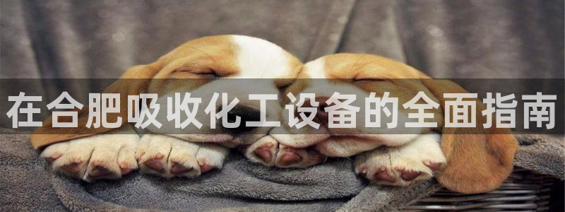 新航娱乐扣款后还能重新扣嘛怎么办