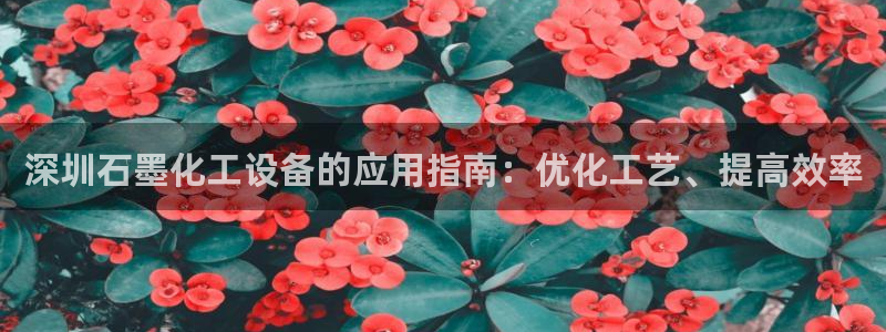 新航娱乐集团最新消息今天