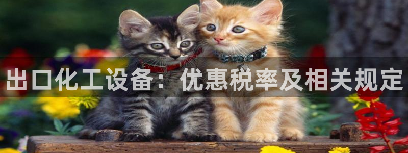 新航娱乐公司扣费流程详解视频