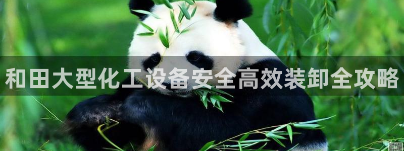 新航娱乐公司扣费流程详解表格