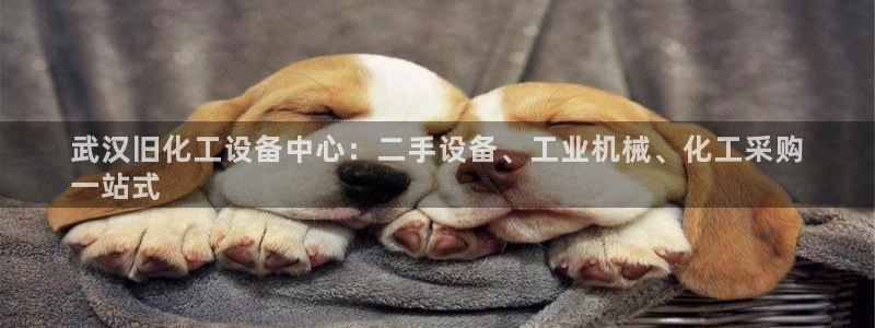 新航娱乐的股东名单和背景介绍是什么