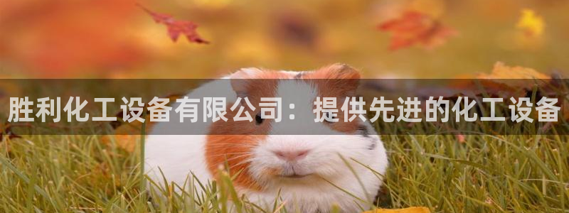 新航娱乐app最新版本更新内容介绍
