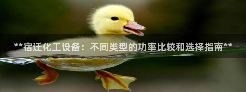 新航娱乐的创始人背景是谁
