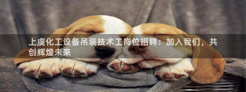 新航娱乐合法吗