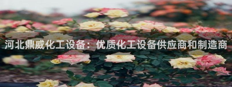 新航娱乐的创始人是谁呀