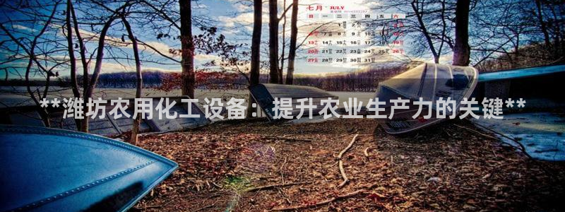 新航娱乐账号注册和账号详情