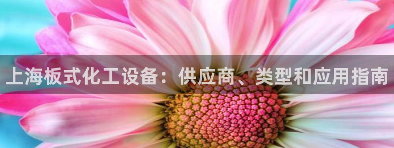 新航娱乐倒闭了吗知乎