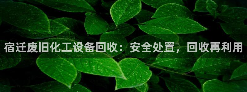 新航娱乐app官方免费下载