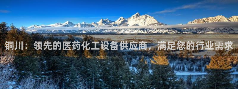 新航娱乐app手机版官网下载安装