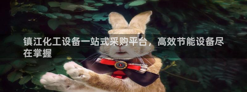 新航娱乐元哥