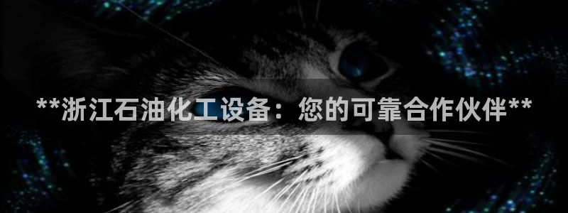 新航娱乐公司扣费流程详解图表