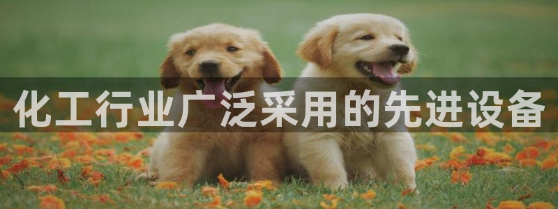 新航娱乐入.新航娱乐.几年了.长久.中国