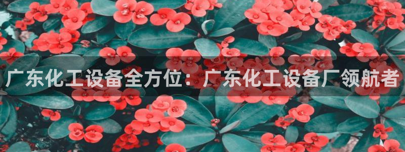 新航娱乐公司扣费流程详解图片大全