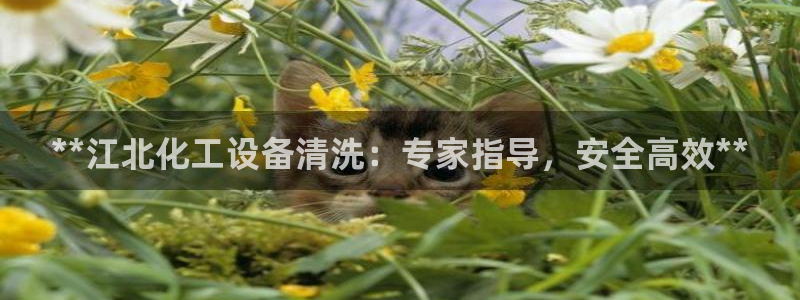 新航娱乐公司简介和历史背景介绍