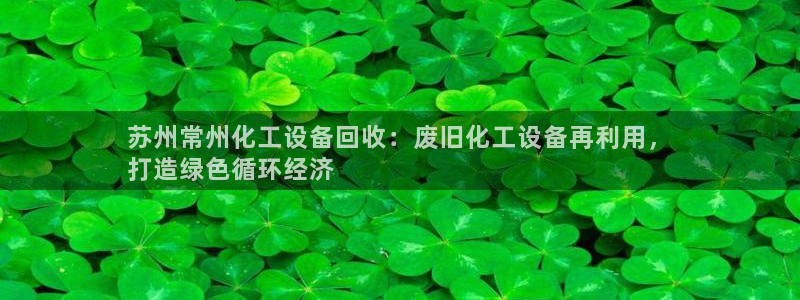新航娱乐的创始人简介图片