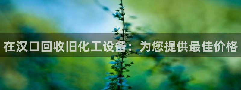 新航娱乐公司扣费流程详解视频大全