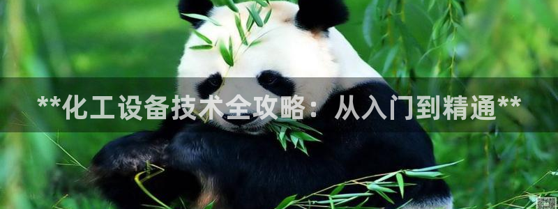 新航娱乐公司扣费流程详解图片