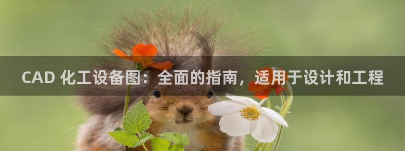 新航娱乐扣费是什么费用啊