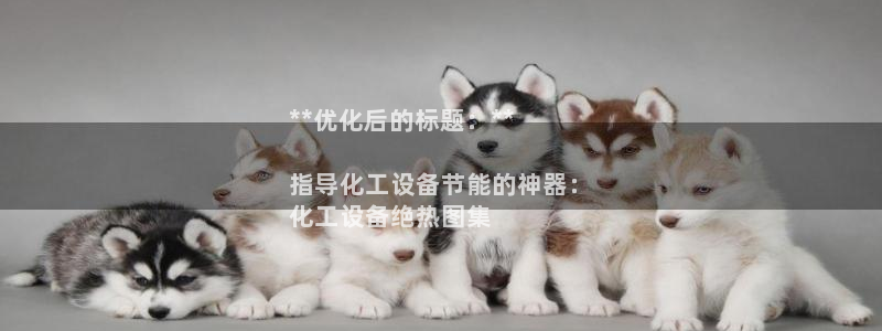 新航娱乐公司旗下艺人有哪些