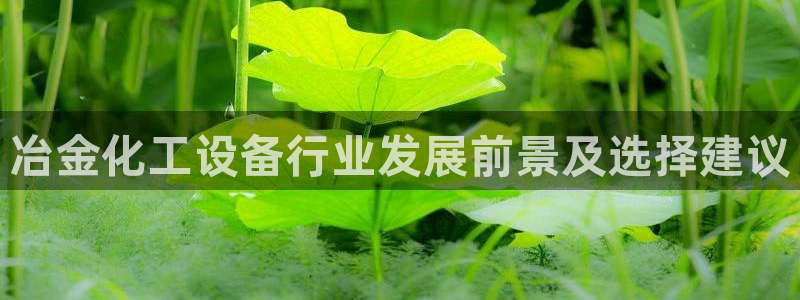 新航娱乐扣款后还能重新扣吗