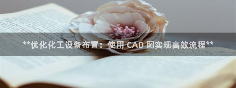 新航娱乐皮皮虾