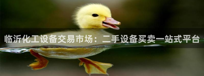 新航娱乐app的最新版本更新内容在哪里