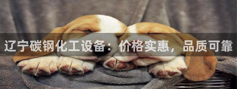 新航娱乐的创始人是谁啊