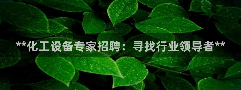 新航娱乐挂机.直开.中国(官方下载)