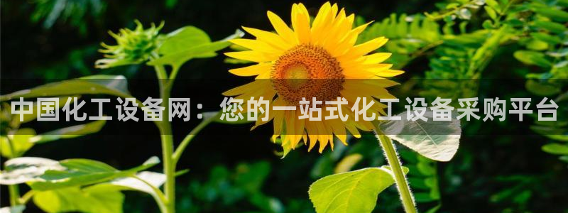 新航娱乐公司扣费流程详解视频大全