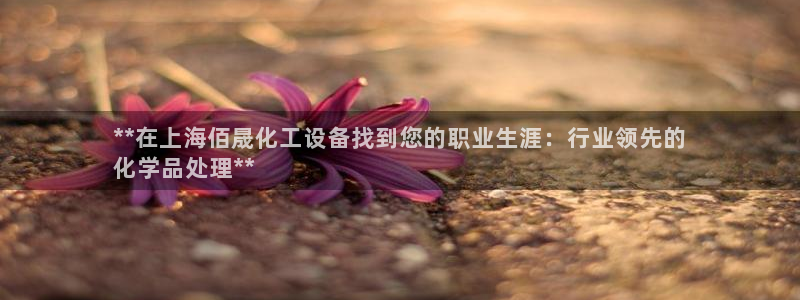 新航娱乐的创始人是谁